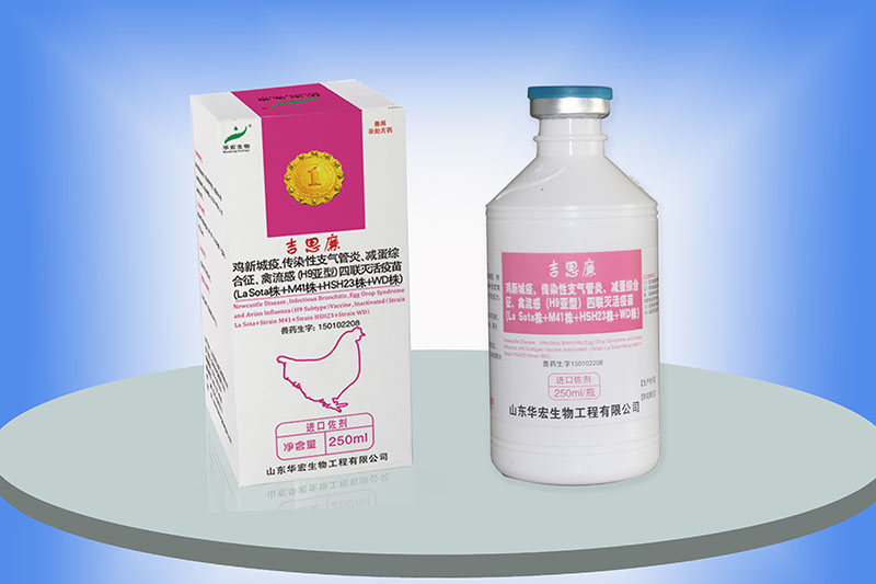 雞新城疫、傳染性支氣管炎、減蛋綜合征、禽流感（H9亞）四聯滅活疫苗