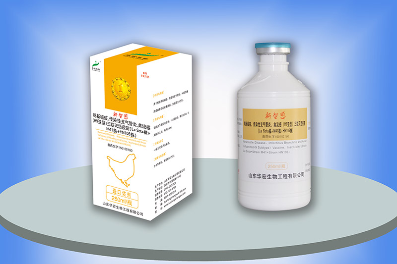雞新城疫、傳染性支氣管炎、禽流感三聯滅活疫苗