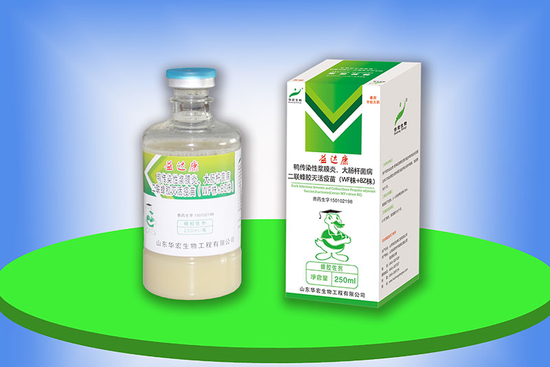 鴨傳染性漿膜炎、大腸桿菌病二聯蜂膠滅活疫苗（WF株+BZ株）